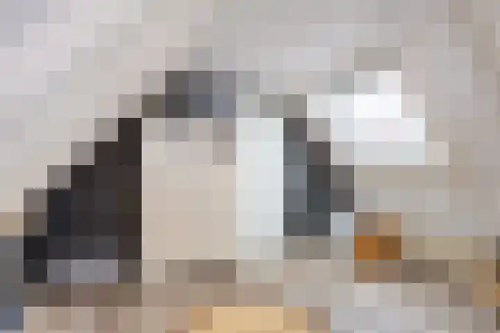 Ossegang 2 Uithuizen thumbnail 39