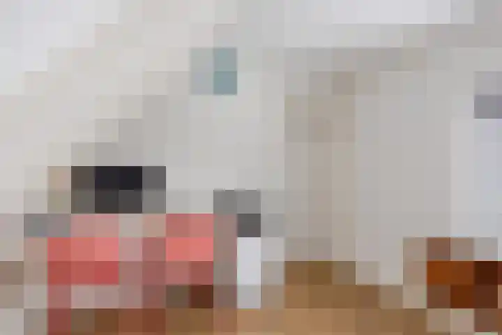 Ossegang 2 Uithuizen thumbnail 43
