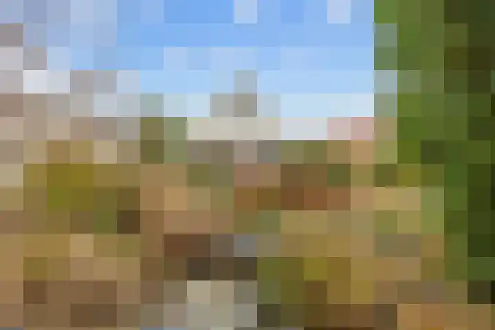 Ossegang 6 Uithuizen thumbnail 41