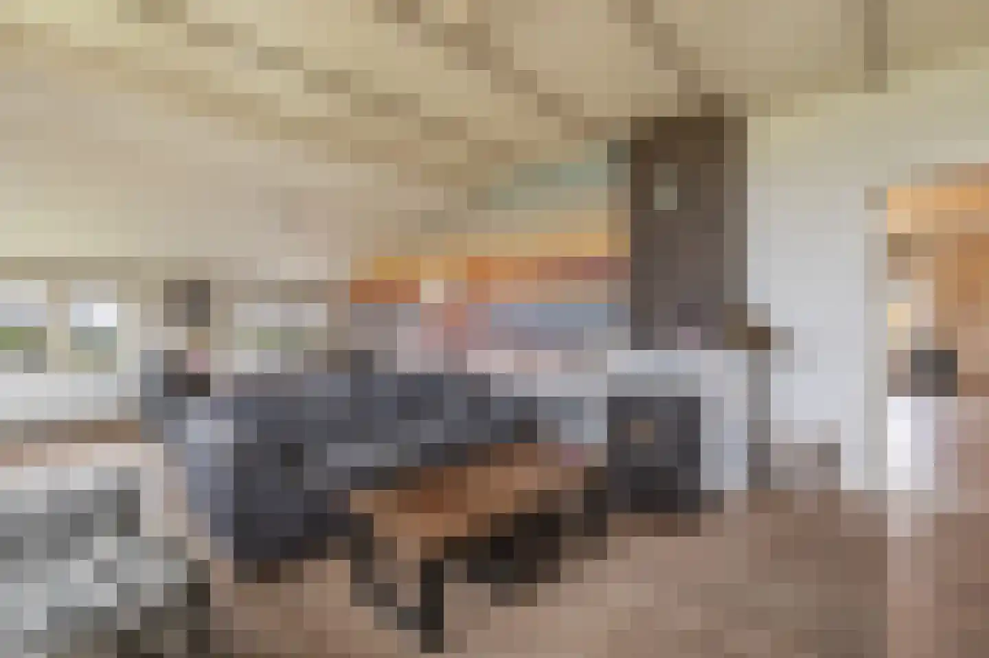 Ossehaarseweg 1 Stieltjeskanaal thumbnail 10