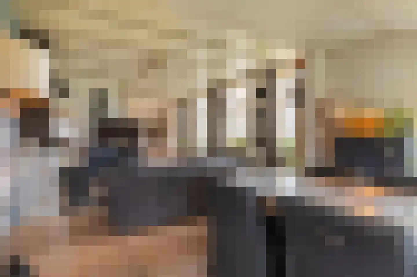 Ossehaarseweg 1 Stieltjeskanaal thumbnail 13