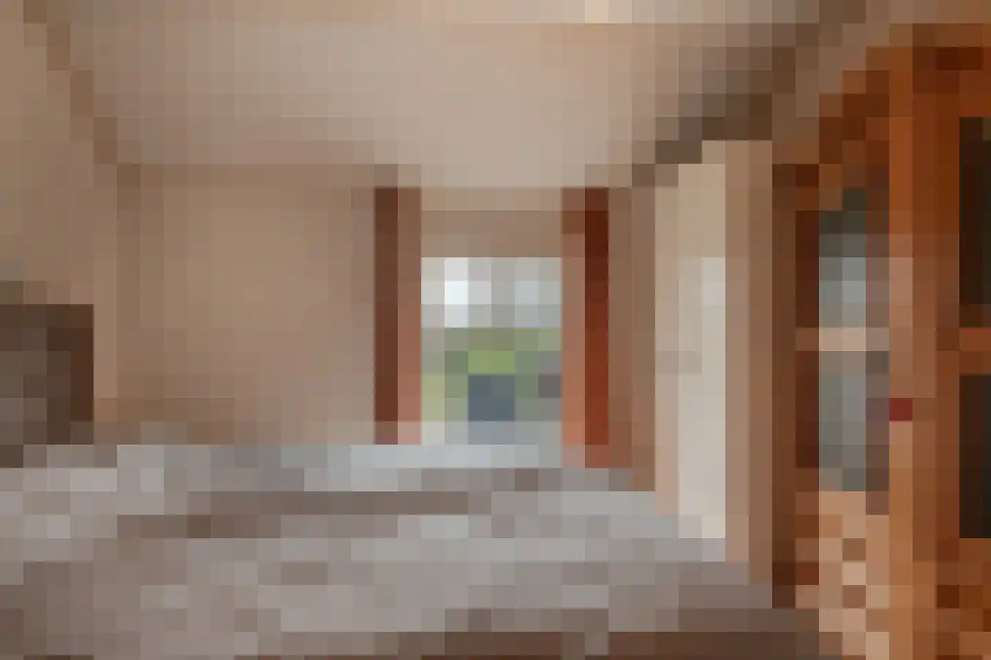 Ossehaarseweg 1 Stieltjeskanaal thumbnail 22