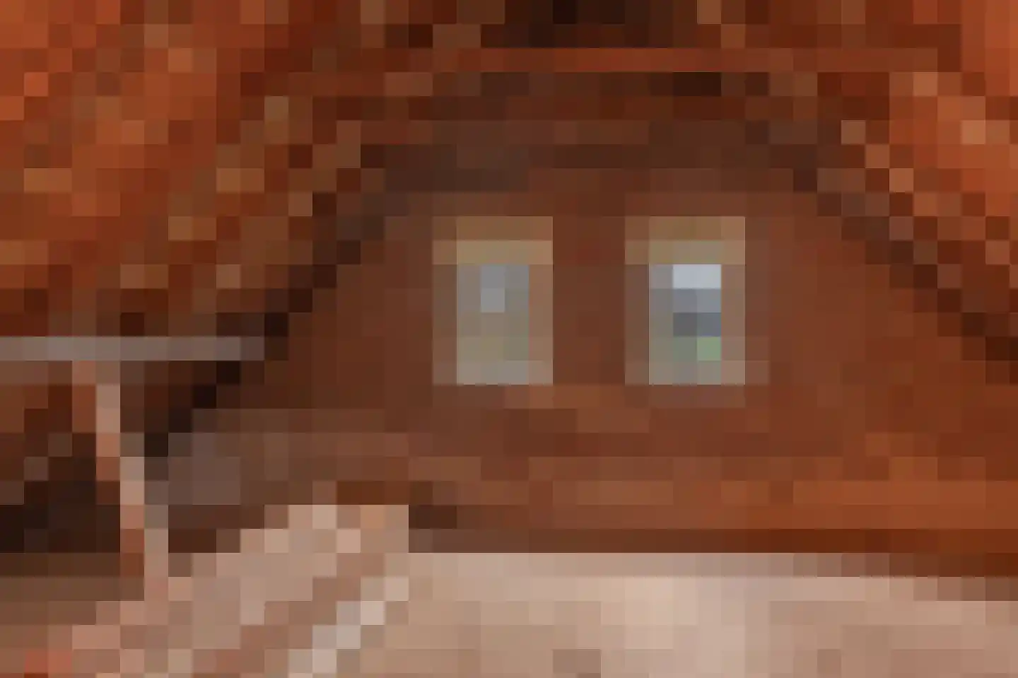 Ossehaarseweg 1 Stieltjeskanaal thumbnail 27