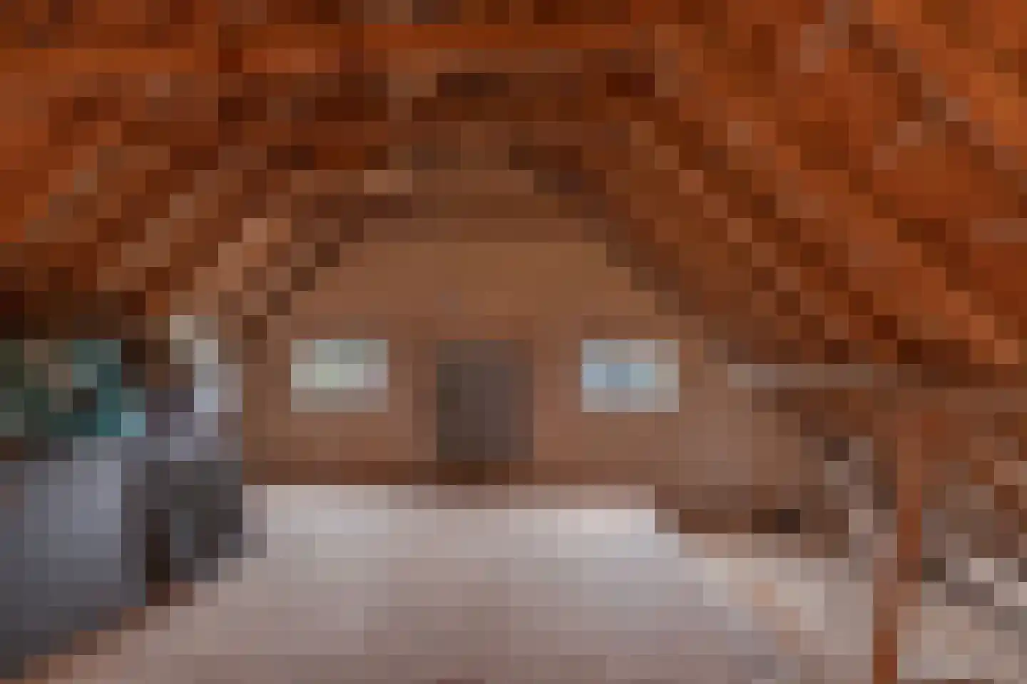 Ossehaarseweg 1 Stieltjeskanaal thumbnail 28