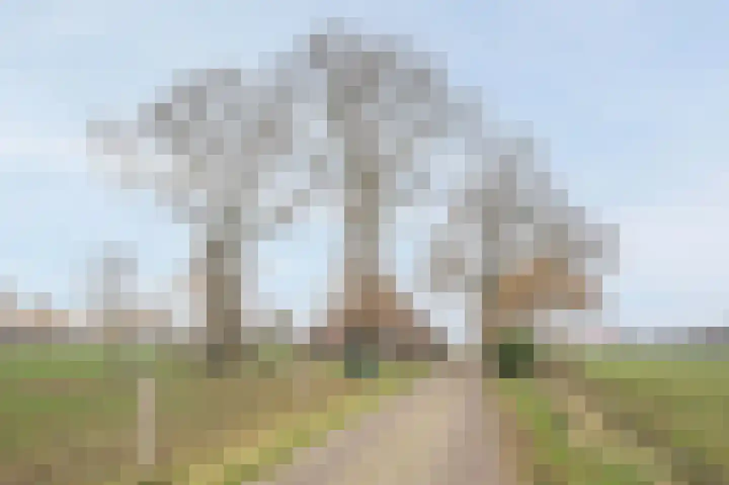 Ossehaarseweg 1 Stieltjeskanaal foto 3