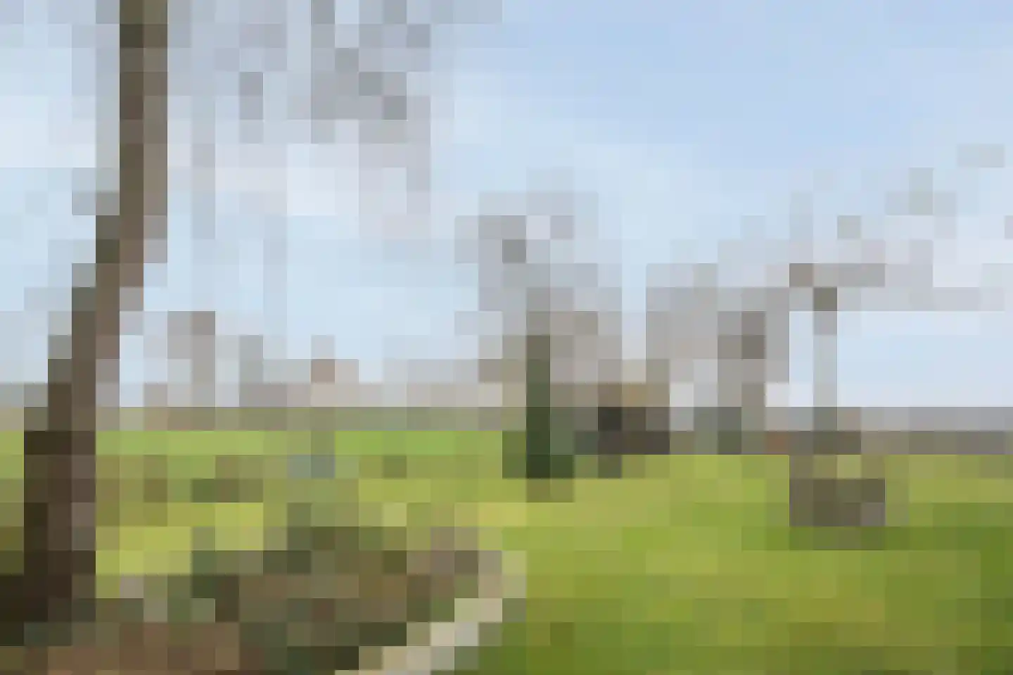 Ossehaarseweg 1 Stieltjeskanaal thumbnail 34