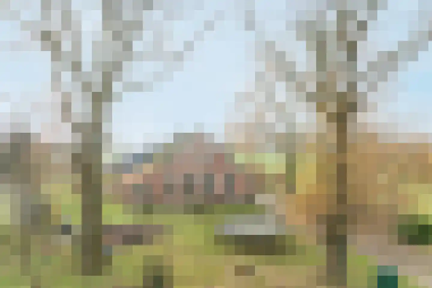 Ossehaarseweg 1 Stieltjeskanaal thumbnail 41