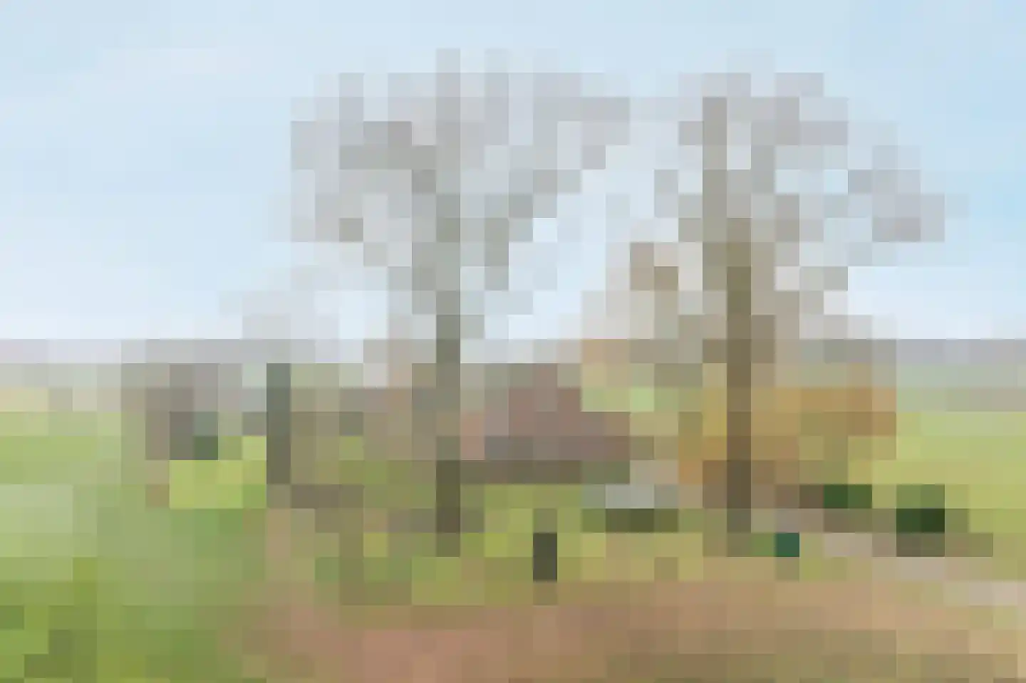 Ossehaarseweg 1 Stieltjeskanaal thumbnail 42