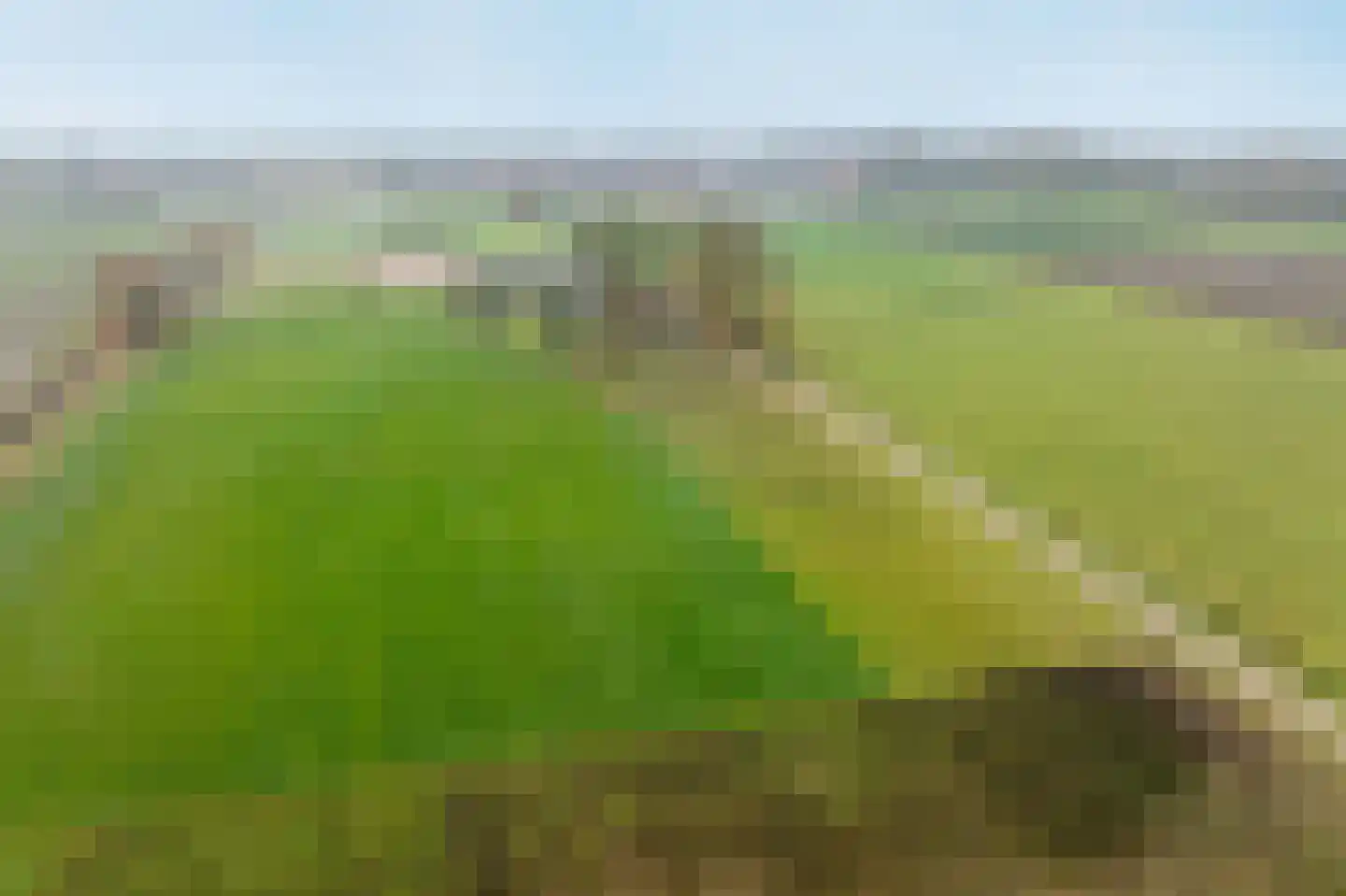 Ossehaarseweg 1 Stieltjeskanaal thumbnail 44