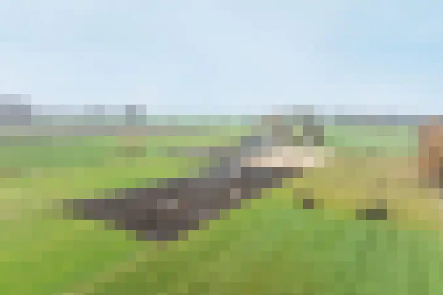 Ossehaarseweg 1 Stieltjeskanaal thumbnail 53