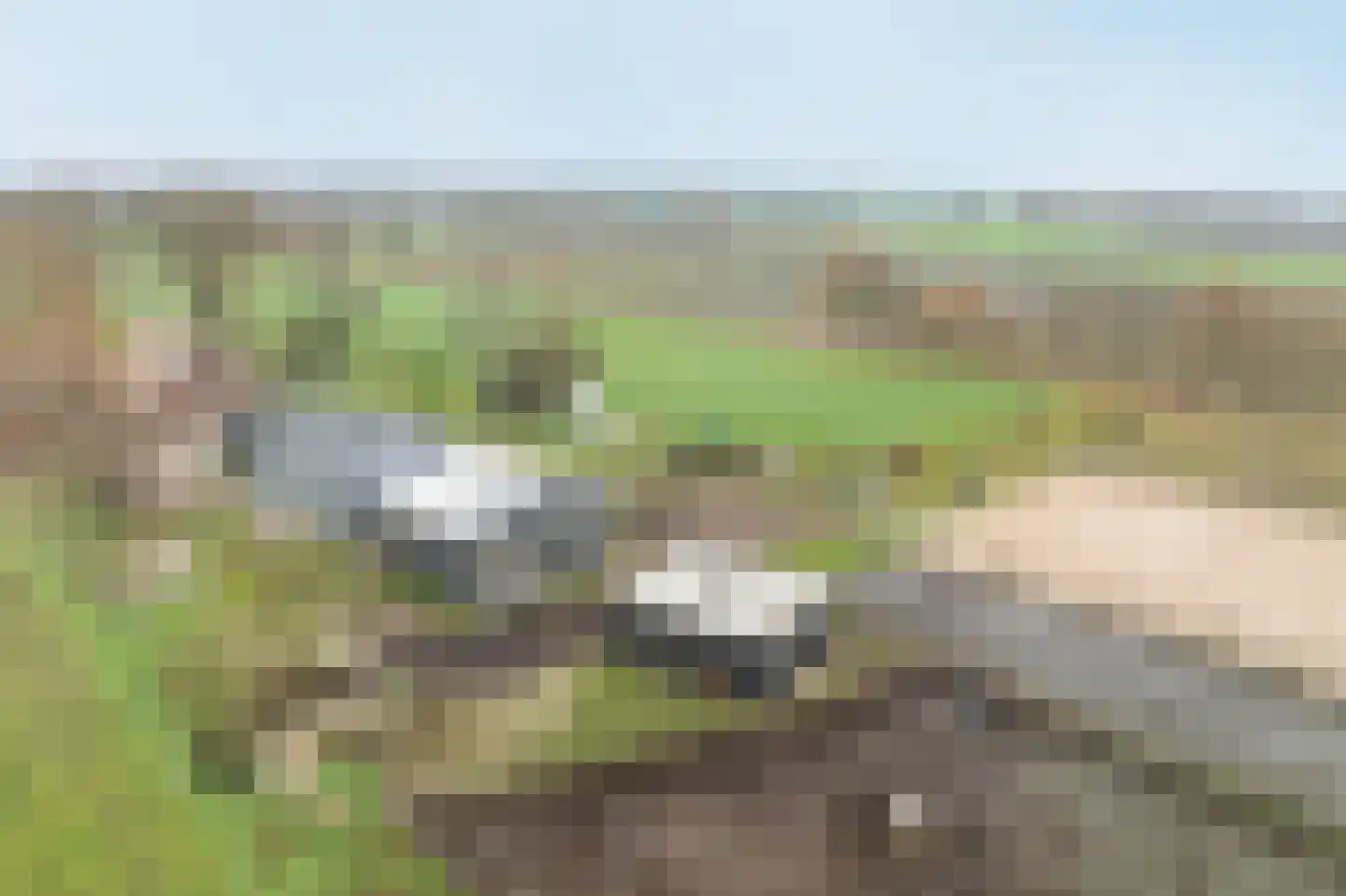 Ossehaarseweg 1 Stieltjeskanaal thumbnail 55