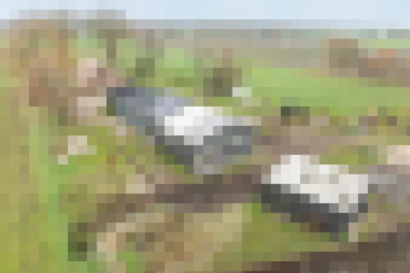 Ossehaarseweg 1 Stieltjeskanaal thumbnail 56