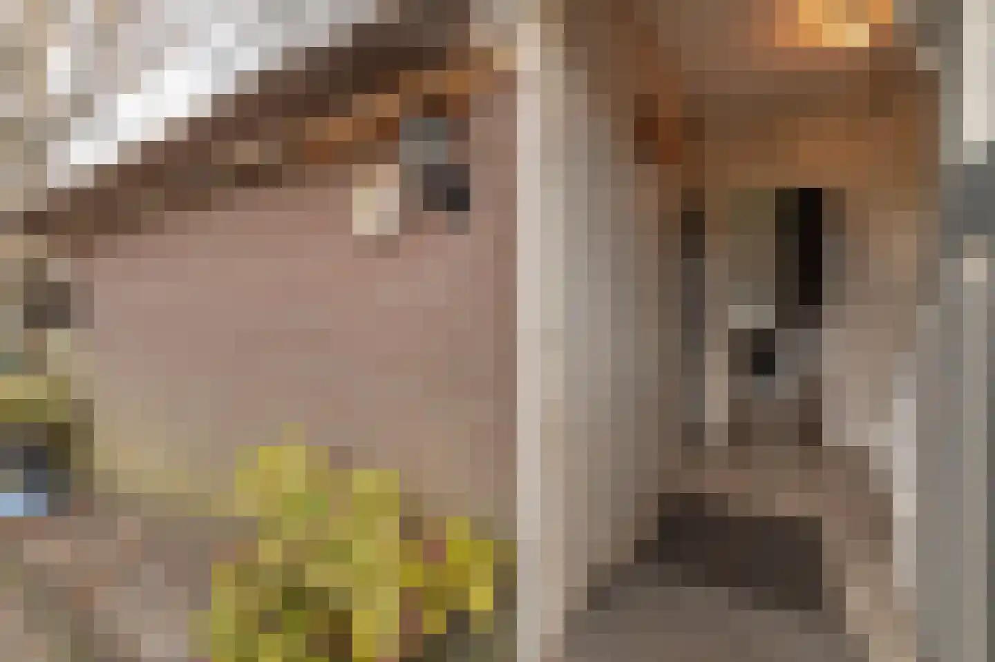 Ossehaarseweg 1 Stieltjeskanaal thumbnail 8