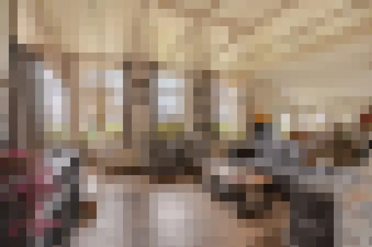 Ossehaarseweg 1 Stieltjeskanaal thumbnail 9