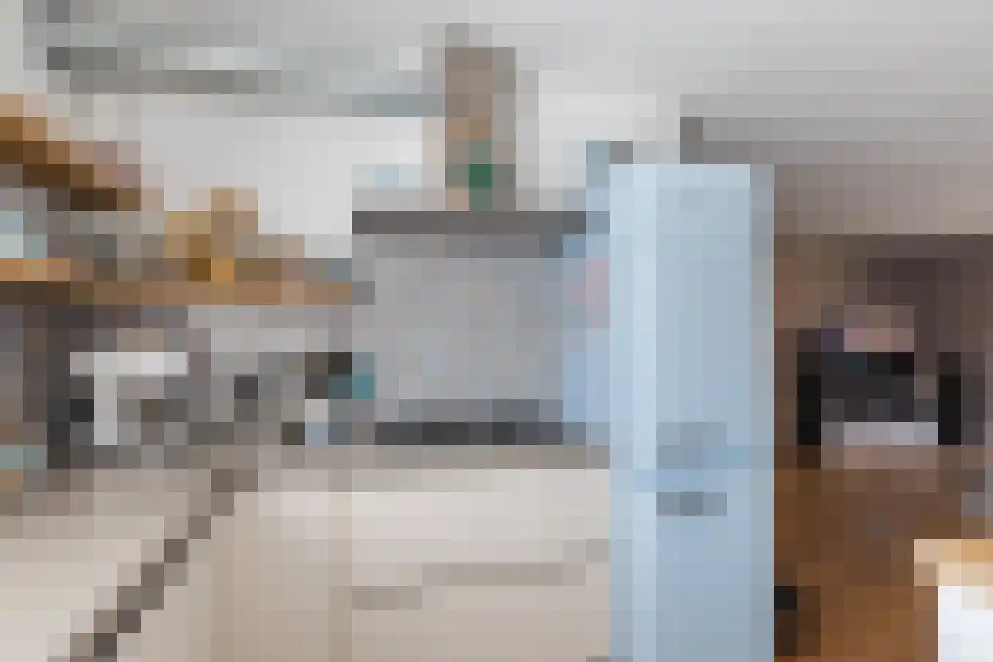 Ossenblok 2 Breda thumbnail 13