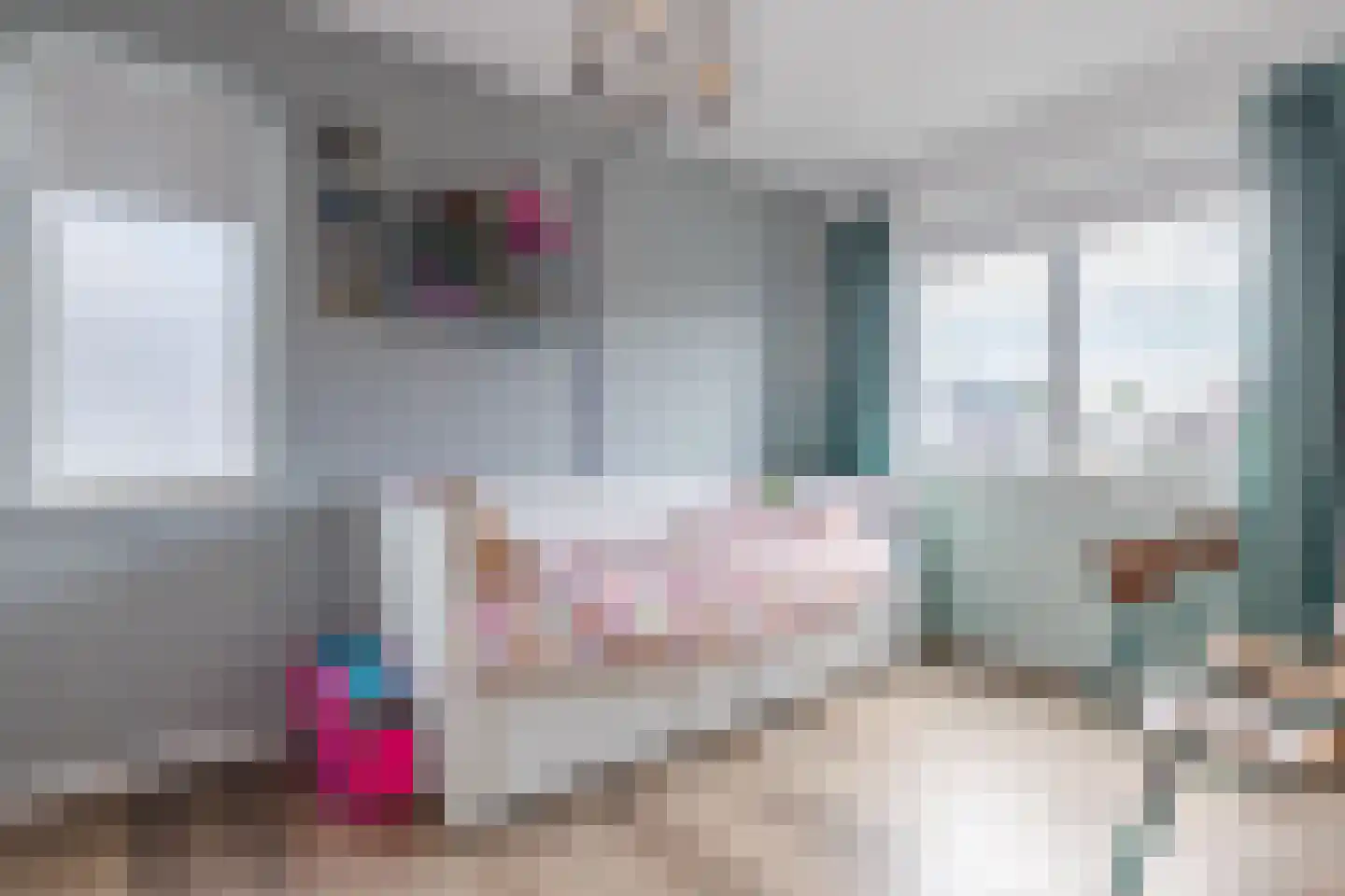 Ossenblok 2 Breda thumbnail 20