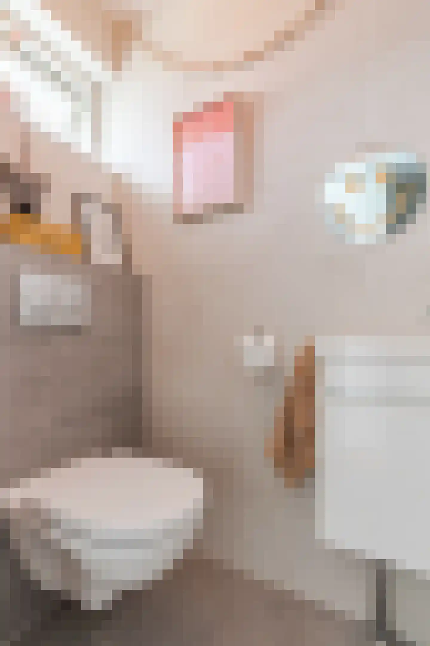 Ossenblok 2 Breda thumbnail 6