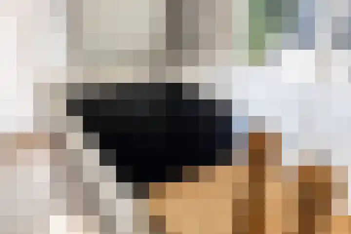 Ossendamweg 20 Soest thumbnail 13