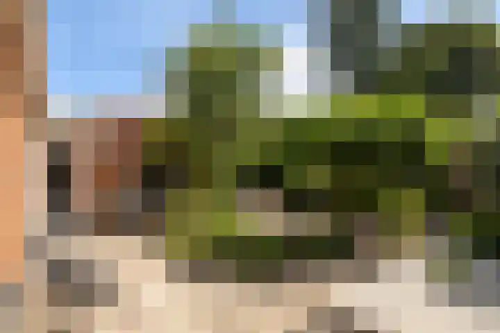 Ossendamweg 20 Soest thumbnail 17