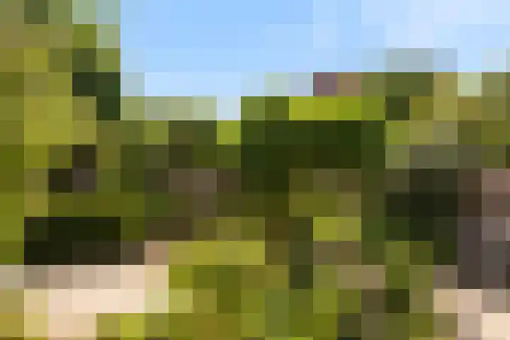 Ossendamweg 20 Soest thumbnail 19