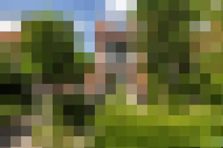 Ossendamweg 20 Soest thumbnail 21