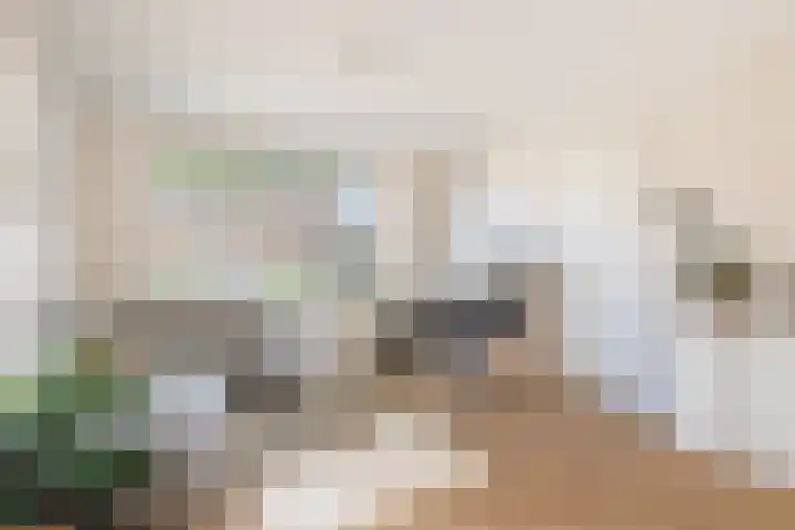 Ossendamweg 20 Soest thumbnail 4