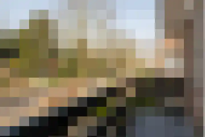 Ossendrechtseweg 85 Hoogerheide thumbnail 31