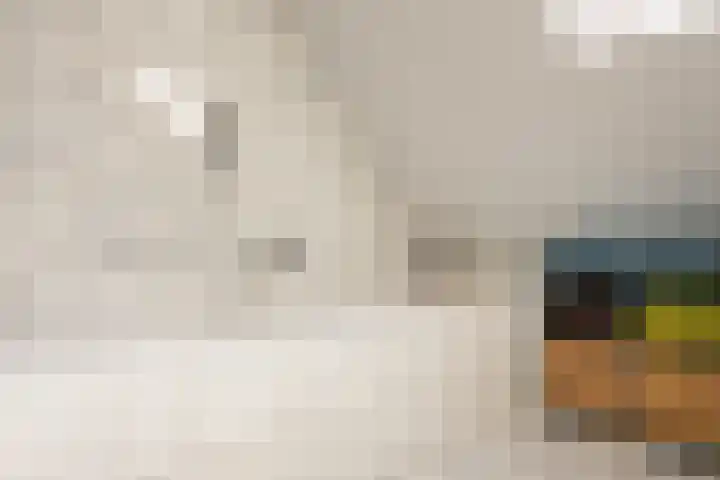 Ossendrechtseweg 85 Hoogerheide thumbnail 34