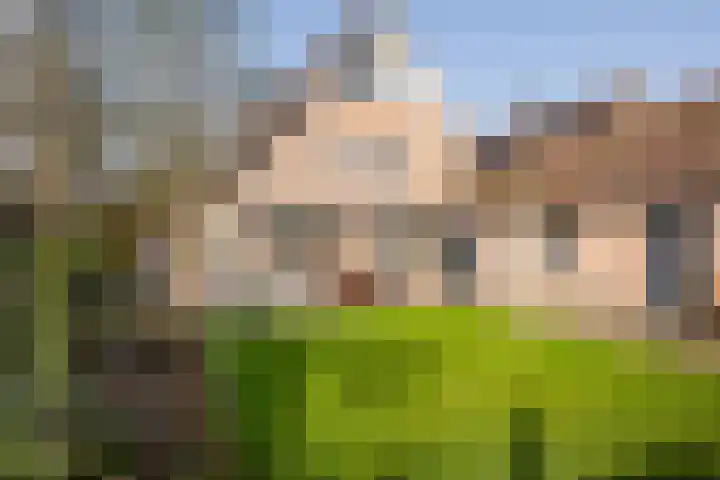Ossendrechtseweg 85 Hoogerheide thumbnail 42