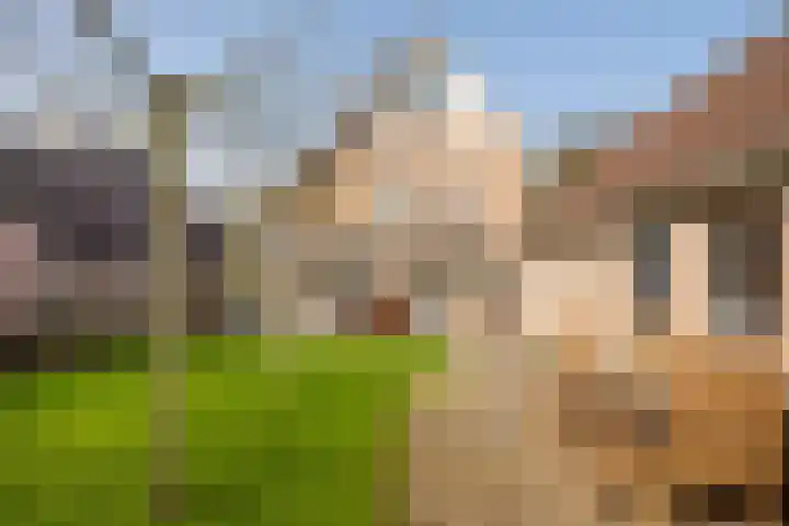 Ossendrechtseweg 85 Hoogerheide thumbnail 43