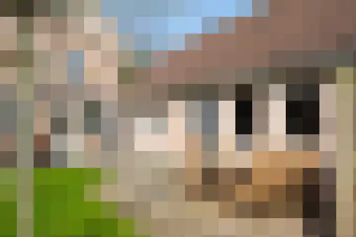 Ossendrechtseweg 85 Hoogerheide thumbnail 44