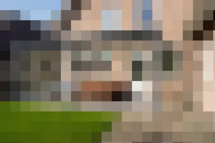 Ossendrechtseweg 85 Hoogerheide thumbnail 45