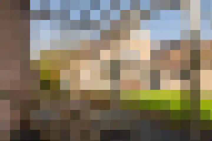 Ossendrechtseweg 85 Hoogerheide thumbnail 50