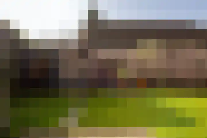 Ossendrechtseweg 85 Hoogerheide thumbnail 51