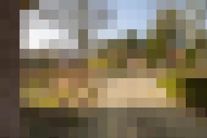 Ossendrechtseweg 85 Hoogerheide thumbnail 54