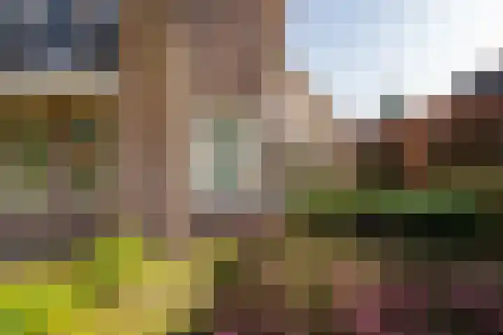 Ossendrechtseweg 85 Hoogerheide thumbnail 55