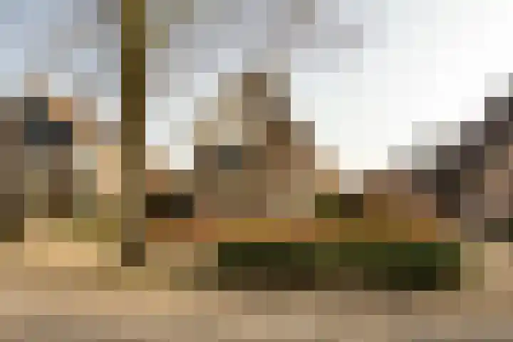 Ossendrechtseweg 85 Hoogerheide thumbnail 56