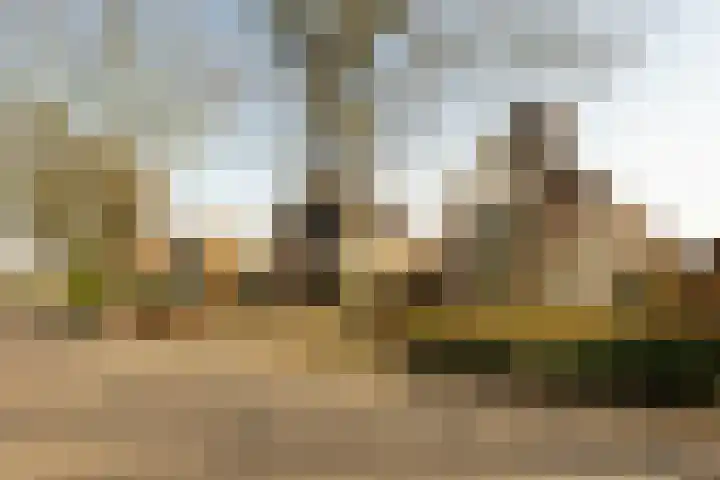 Ossendrechtseweg 85 Hoogerheide thumbnail 57