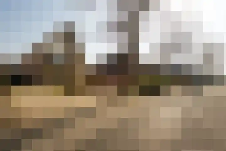 Ossendrechtseweg 85 Hoogerheide thumbnail 58
