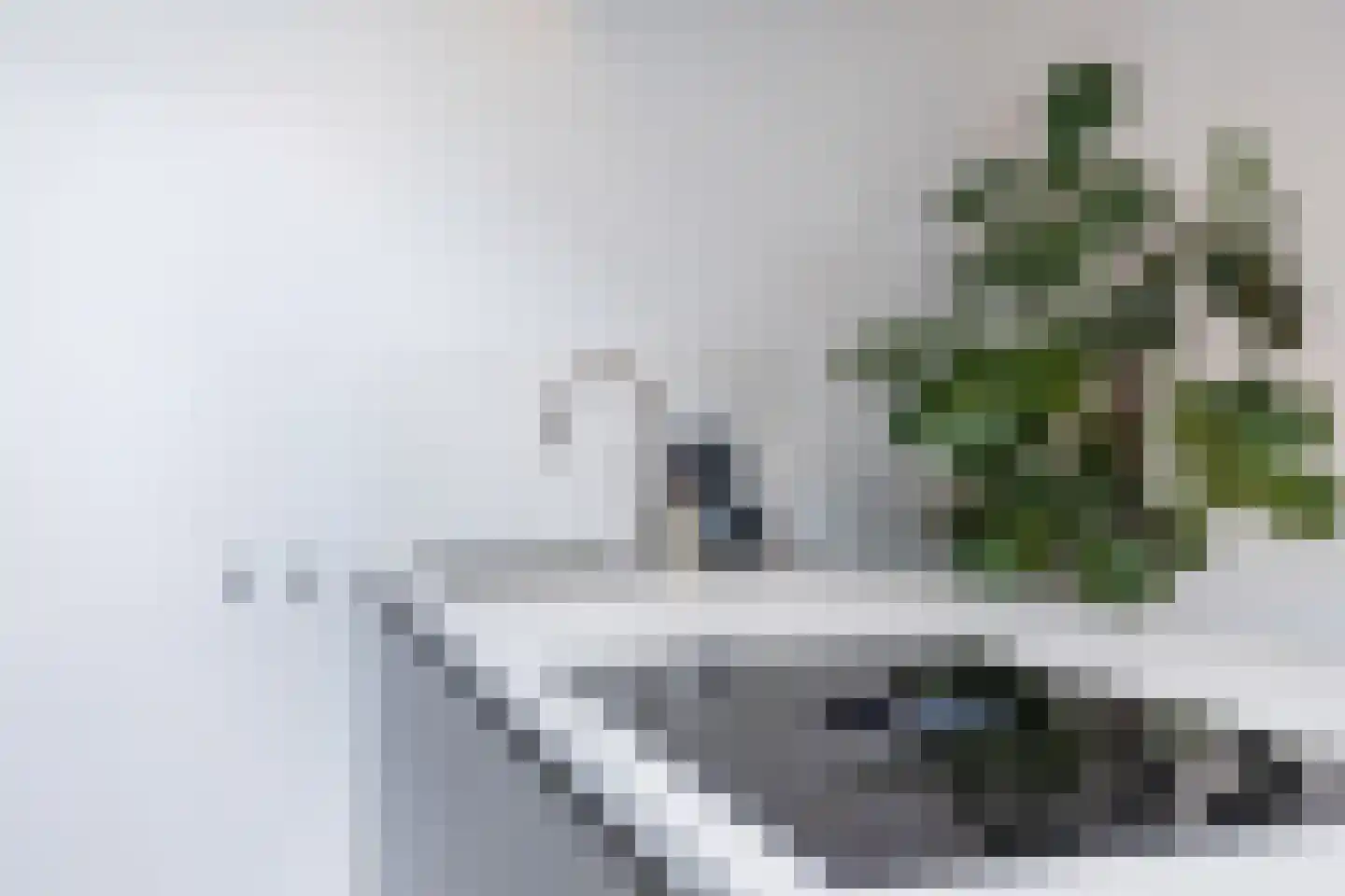Ossendrechtstraat 29 Tilburg thumbnail 15