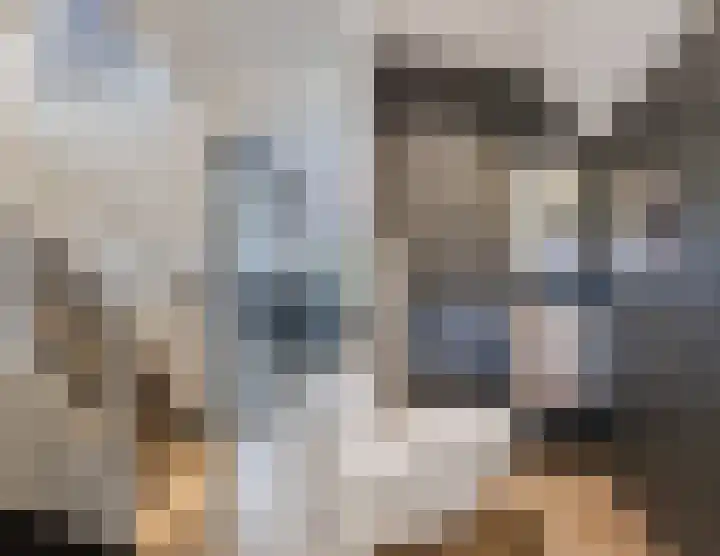 Ossendrechtstraat 29 Tilburg thumbnail 5