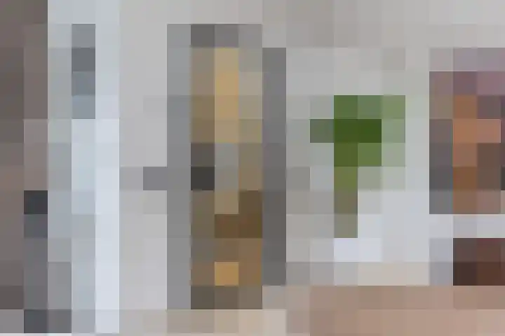 Ossendrechtstraat 29 Tilburg thumbnail 6