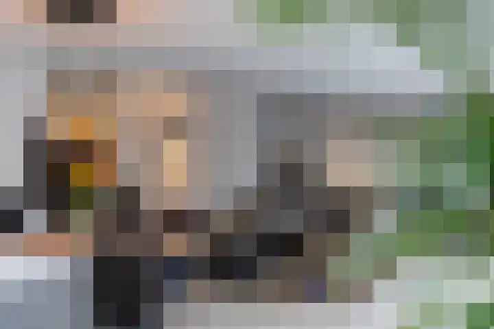 Ossendrechtstraat 29 Tilburg thumbnail 7