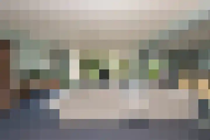 Ossendrechtstraat 94 Tilburg thumbnail 12