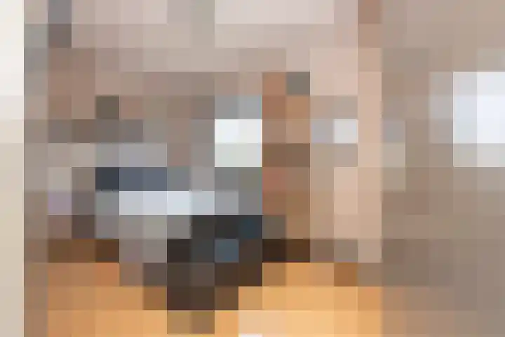 Ossendrechtstraat 94 Tilburg thumbnail 22