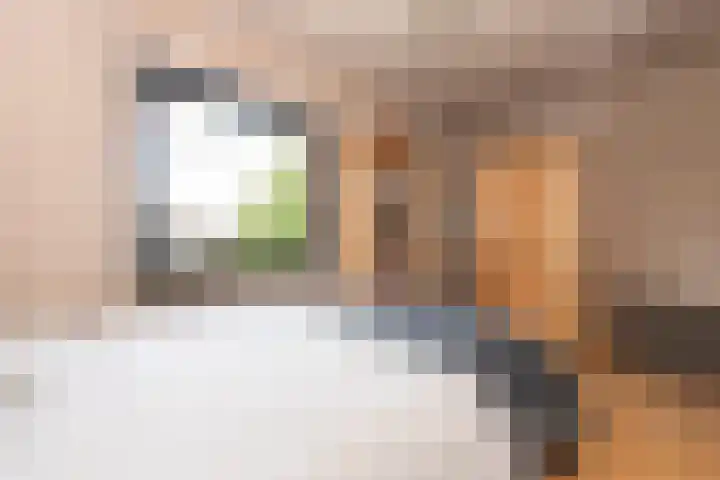 Ossendrechtstraat 94 Tilburg thumbnail 23