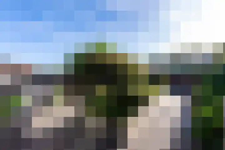 Ossendrechtstraat 94 Tilburg thumbnail 32