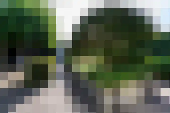 Ossendrechtstraat 94 Tilburg thumbnail 33