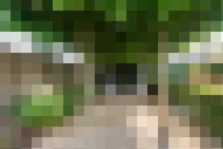 Ossendrechtstraat 94 Tilburg thumbnail 35