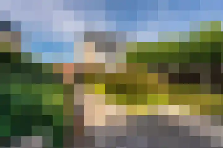 Ossendrechtstraat 94 Tilburg thumbnail 37